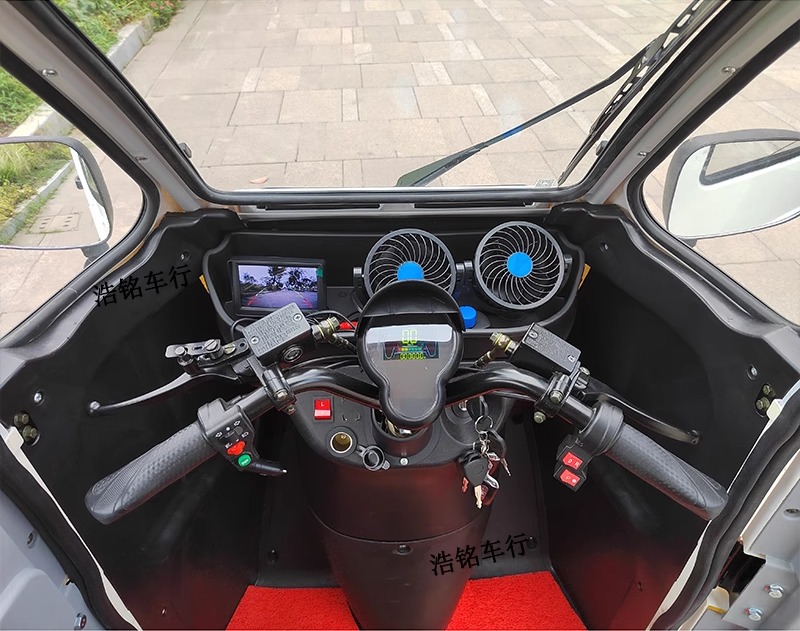 Electric Enclosed 3 Wheel Mobility Scooter Electric Tricycle for Passenger and Handicap Electric Trike Car
