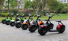 Electric Citycoco 60V 1000W Electric Scooter