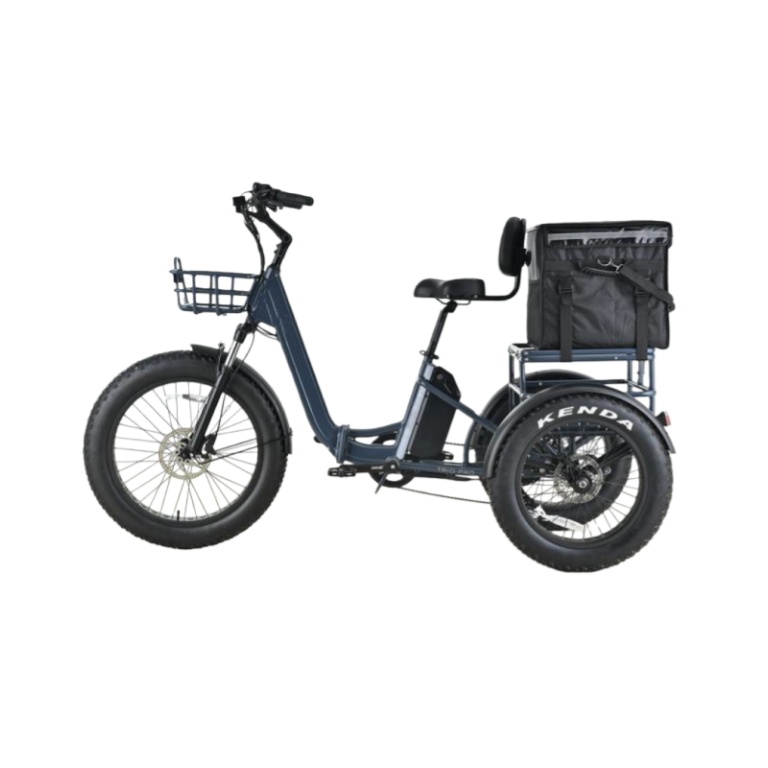 China Cheap Best Fat Tire Electric Tricycles 3 Wheel Electric Bike Trike for Adults Seniors 