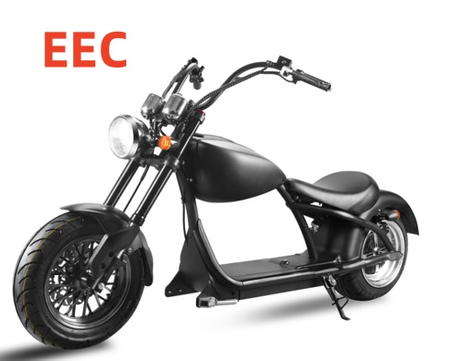 Electric Scooter 60V 1500W with EEC