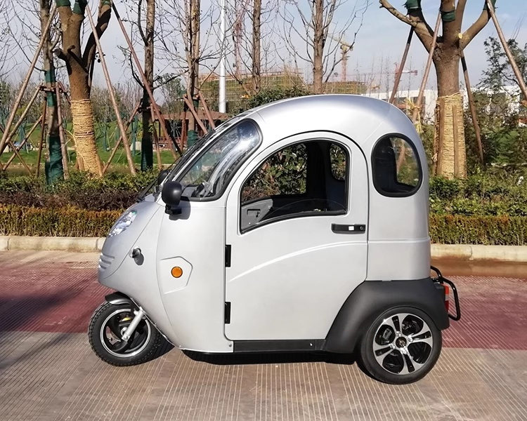 Electric Enclosed 3 Wheel Mobility Scooter Electric Tricycle for Passenger and Handicap Electric Trike Car