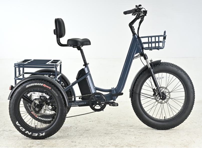 Fat Tire Electric 3 Wheel Cargo Bike