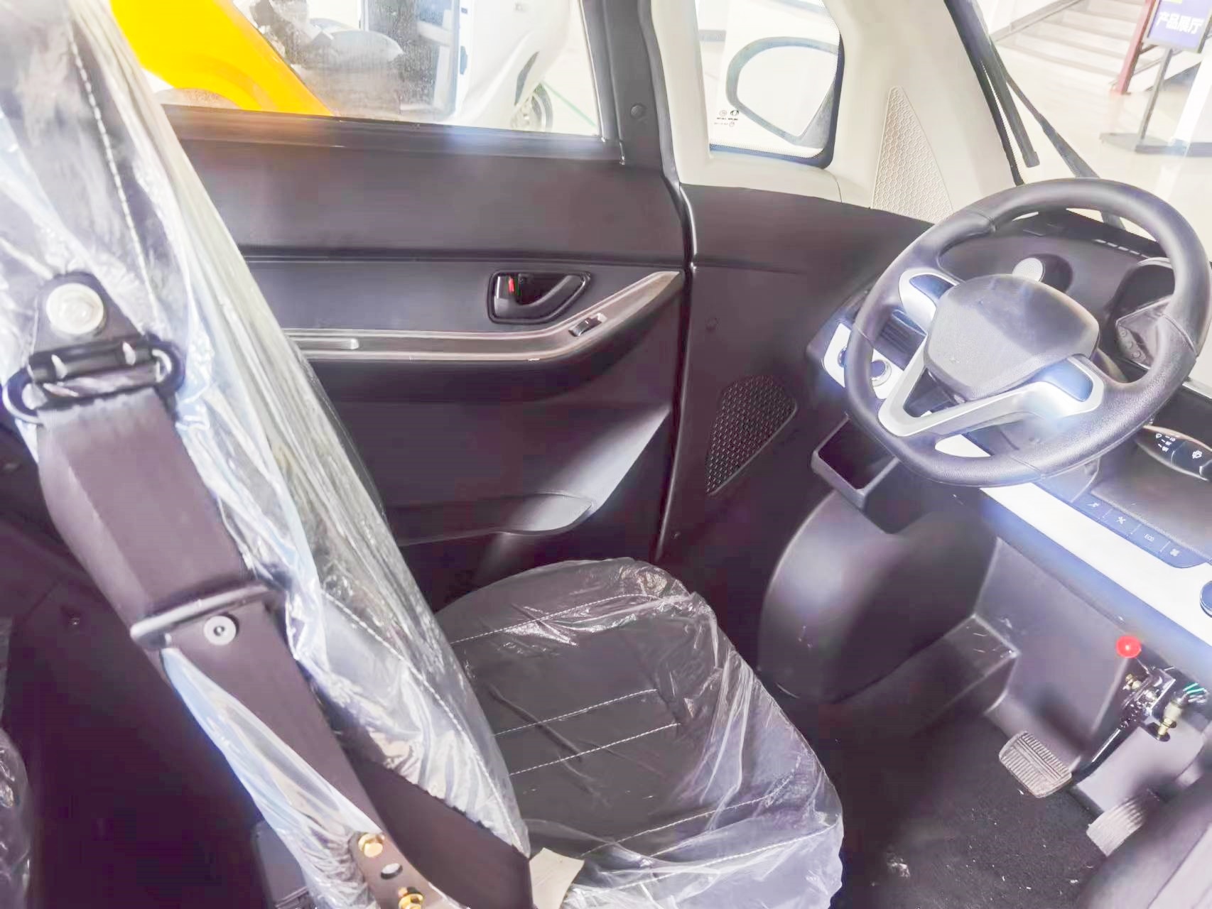 Mini Electric Car 3000W with EEC