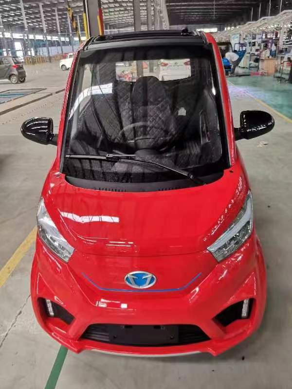 Mini Electric Car 3000W with EEC