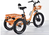 China Cheap Best Fat Tire Electric Tricycles 3 Wheel Electric Bike Trike for Adults Seniors 