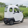 Electric Enclosed 3 Wheel Mobility Scooter Electric Tricycle for Passenger and Handicap Electric Trike Car
