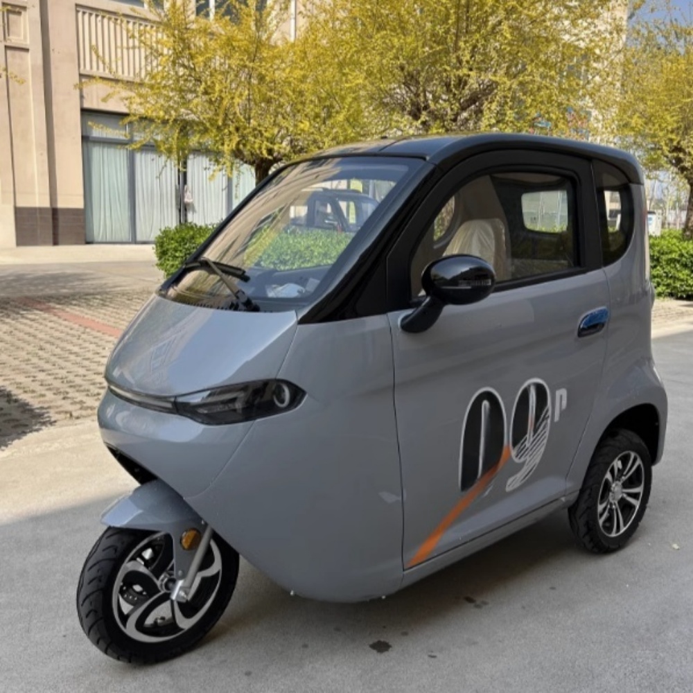 China Enclosed The Elderly Electric Cabin Tricycle with Covered EEC L2e 3 Wheel Electric Cabin Scooter Tricycle