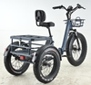 Fat Tire Electric 3 Wheel Cargo Bike